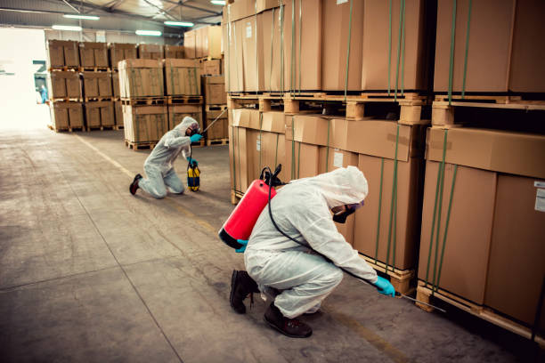 Best Flea Control Services  in Williamsburg, OH