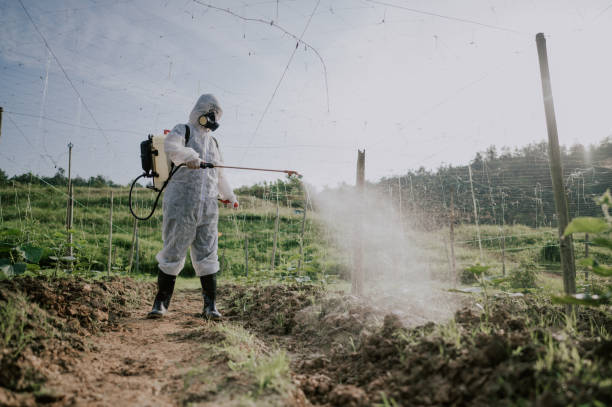 Best Local Pest Control Services  in Williamsburg, OH