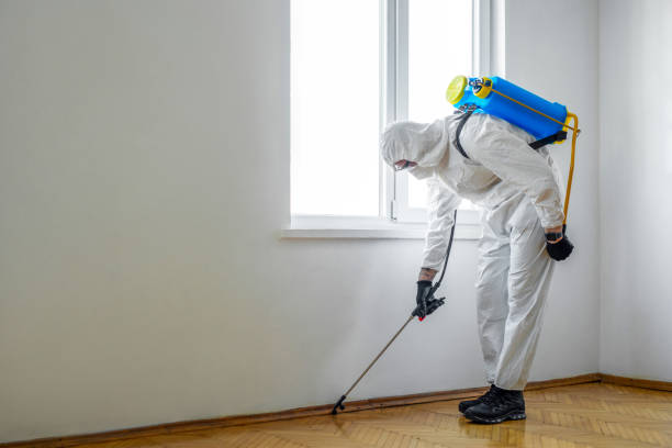 Best Cockroach Control Services  in Williamsburg, OH