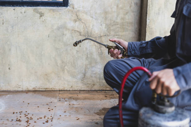 Best Wasp Removal Services  in Williamsburg, OH