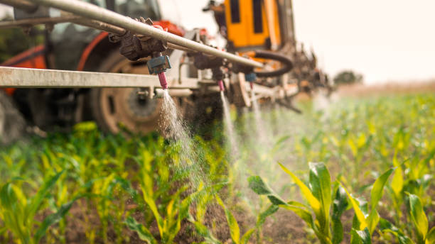 Best Ant Control Services  in Williamsburg, OH